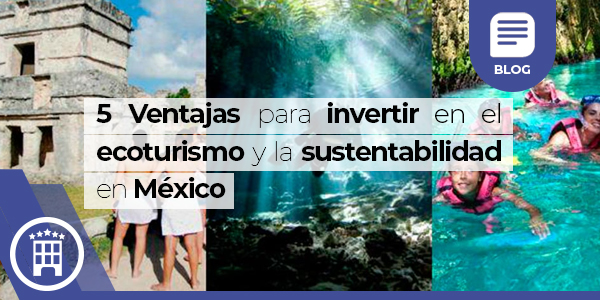 5 Ventajas Para Invertir En El Ecoturismo Y La Sustentabilidad En México